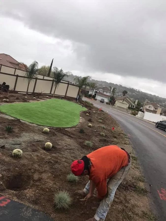 Rain Pro crew member planting drought-tolerant landscaping on a hillside slope