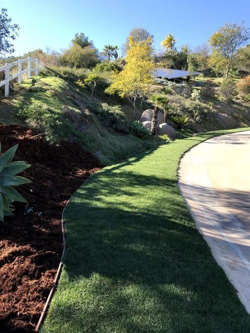 Hillside turf installation along a driveway